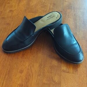 Collection by Clark's mule